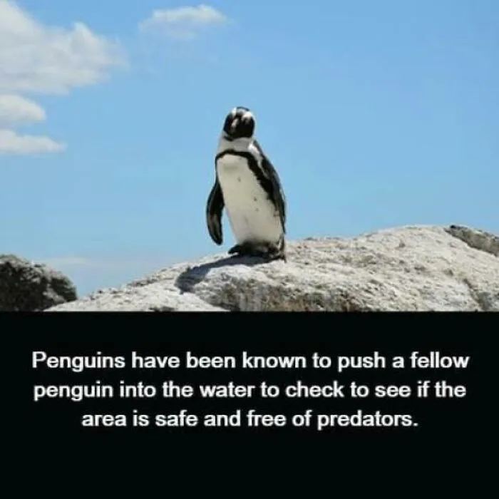 50 Bits Of Information From The ‘Unusual Facts’ FB Page That May Raise Eyebrows