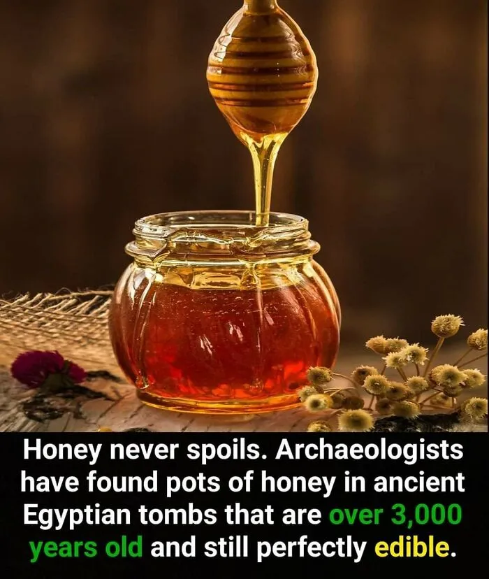 50 Bits Of Information From The ‘Unusual Facts’ FB Page That May Raise Eyebrows