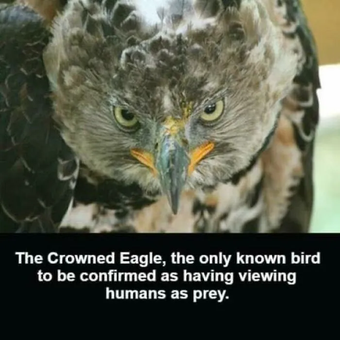50 Bits Of Information From The ‘Unusual Facts’ FB Page That May Raise Eyebrows