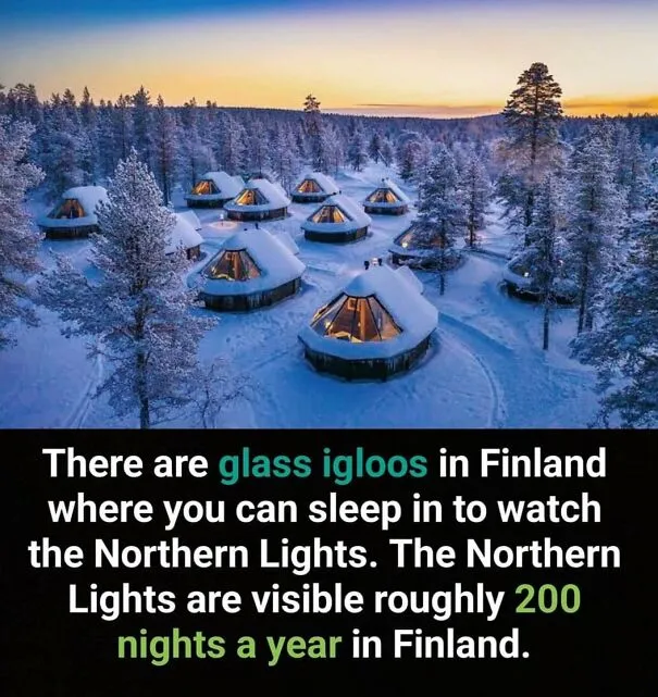 50 Bits Of Information From The ‘Unusual Facts’ FB Page That May Raise Eyebrows