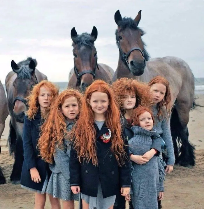 "The Beauty Of Ireland" 