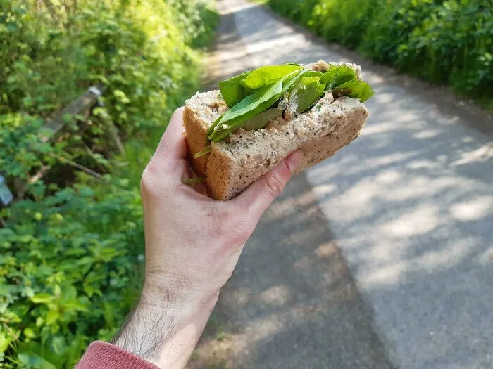 It May Not Be Pretty, But Here's My First Sandwich In Over A Year. Crab Salad On Seedy Brown Bread. Time To Kick Anorexia In The Butt!