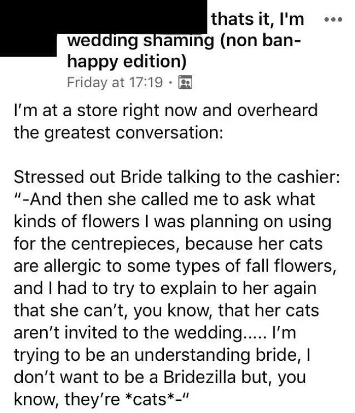 4 Weddings And A Cat Party