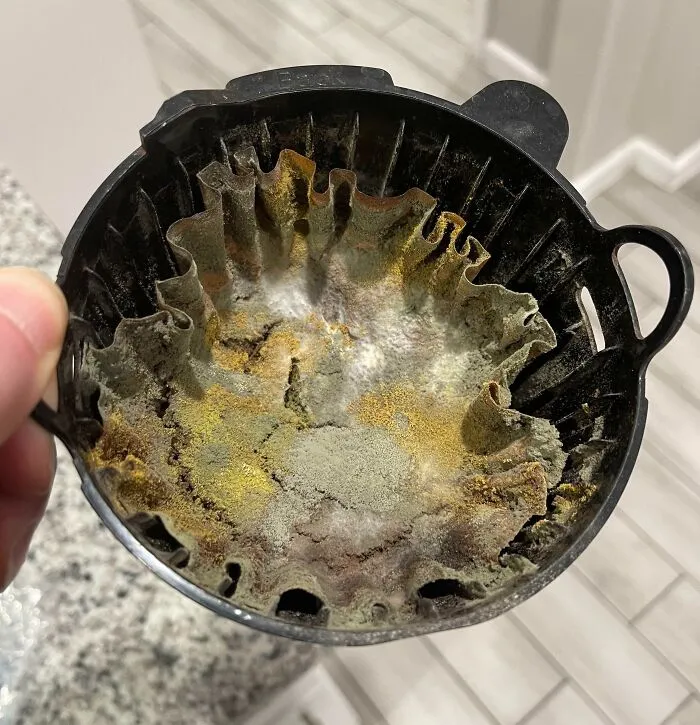 "We Have A Coffee Machine Somewhere", "Looks Clean To Me" - This Is What A Lady At The Office Told Me Today When I Tried To Have Some Coffee