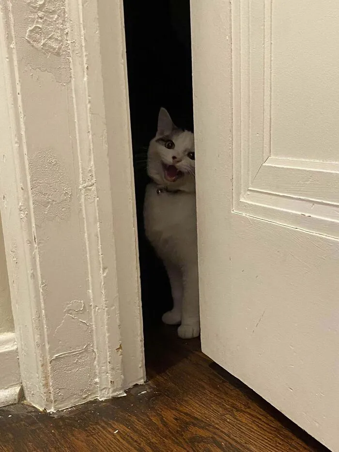 This Pic Of Jack Yelling Ended Up Looking Like A Horror Movie Poster