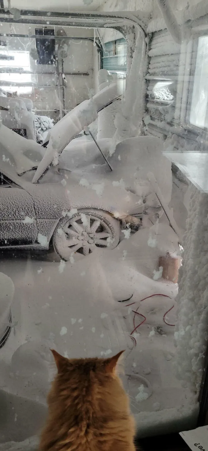 Blizzard Blew Open The Main Door Of My Garage Yesterday