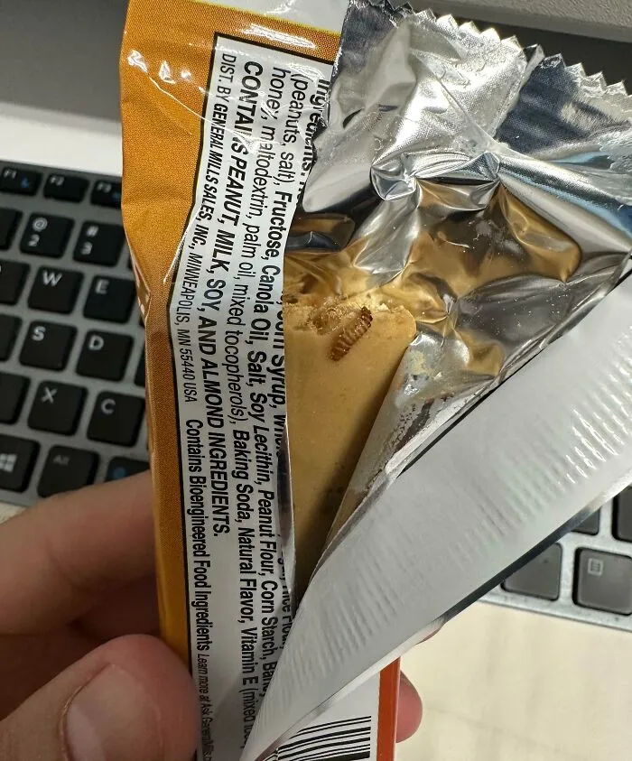 I Have A Costco Box Full Of These At Work, Just Ate One Yesterday. This Entire Bar Was Infested With These… Things 
