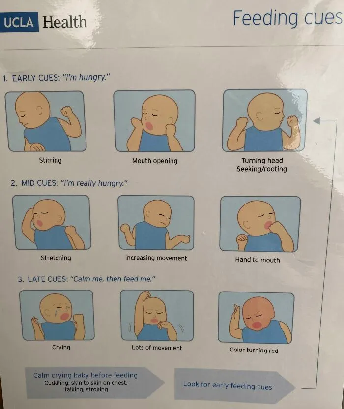Baby Feeding Cues