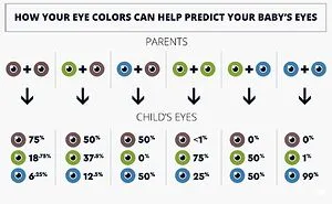 30 Cool And Interesting Guides That Teach You More In Images Than Any Parenting Book Can