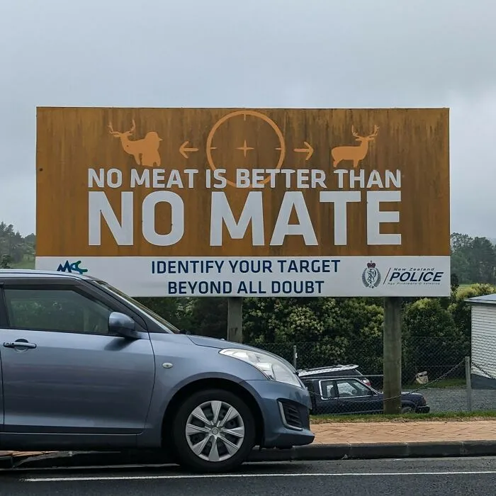 Found In A Small Rural NZ Town