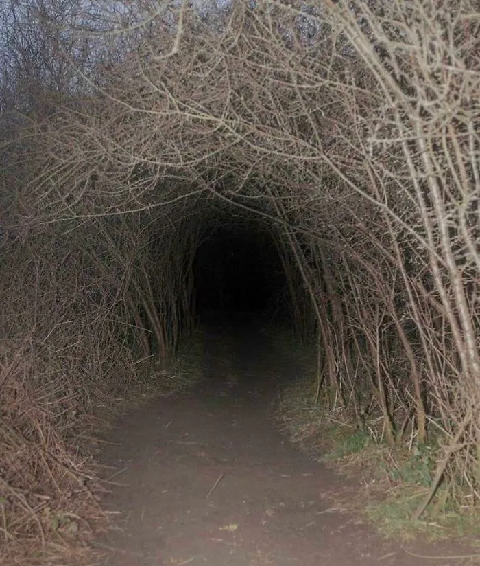 Who Loves Nature?