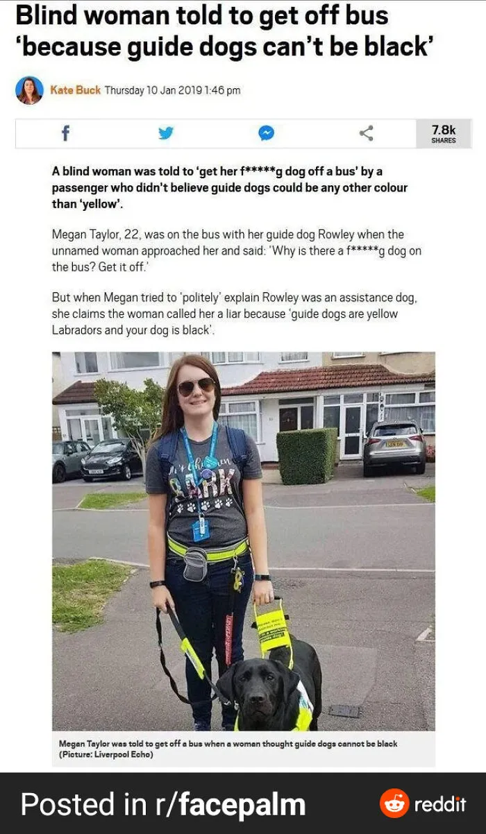 To Define A Service Animal