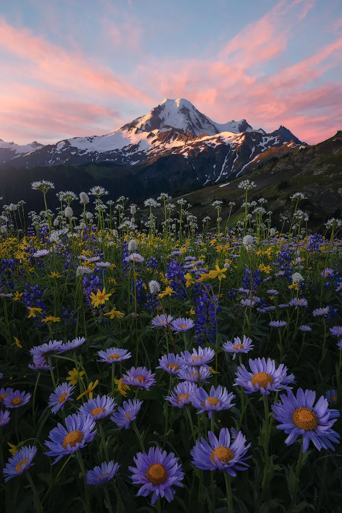 I've Been Trying To Get This Shot For Four Years...last Week, Everything Finally Came Together While Backpacking Around Mt Baker