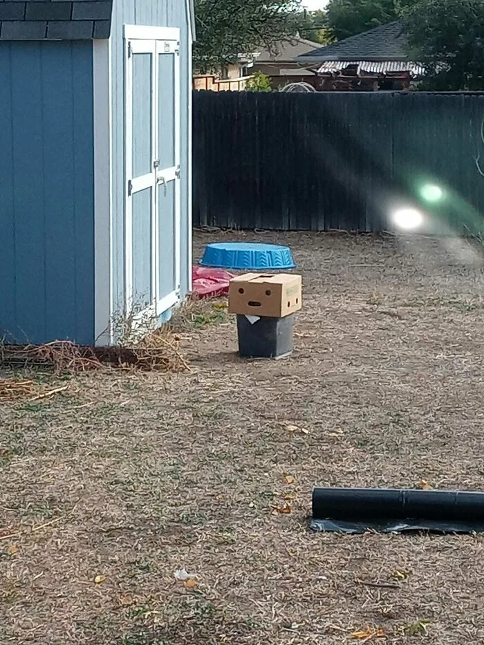 40 Funny Examples Of Regular Objects Suddenly Showing Human Characteristics