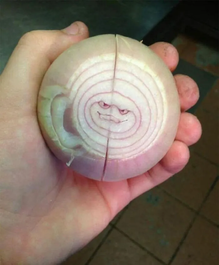 40 Funny Examples Of Regular Objects Suddenly Showing Human Characteristics