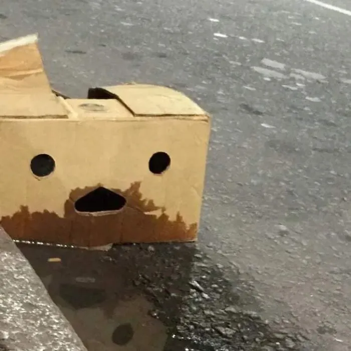40 Funny Examples Of Regular Objects Suddenly Showing Human Characteristics
