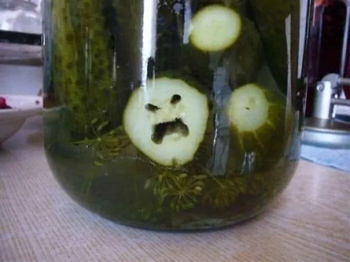 40 Funny Examples Of Regular Objects Suddenly Showing Human Characteristics