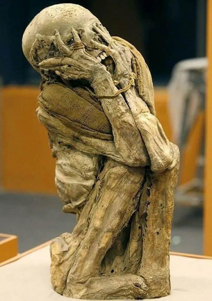 This 15th Century Mummy Found In A Rain Forest