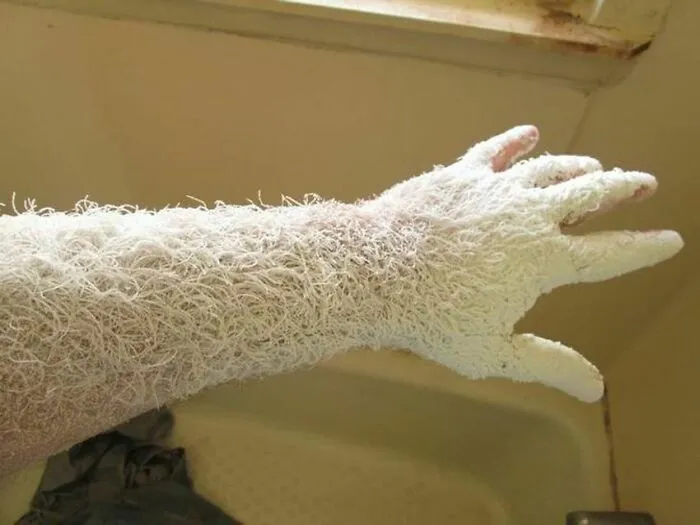 Sanding Wood For An Hour Creates This Arm Of Abomination