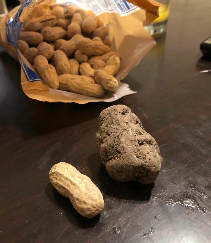 Found This Is In My Bag Of Peanuts Today