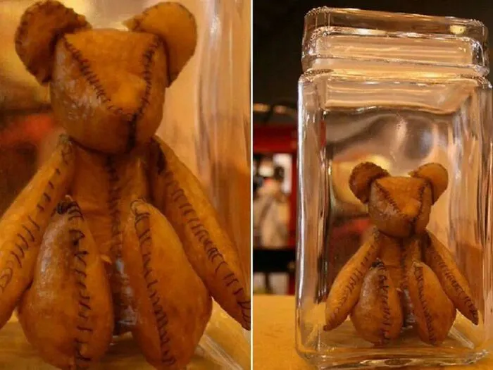 Osito hecho con placenta humana