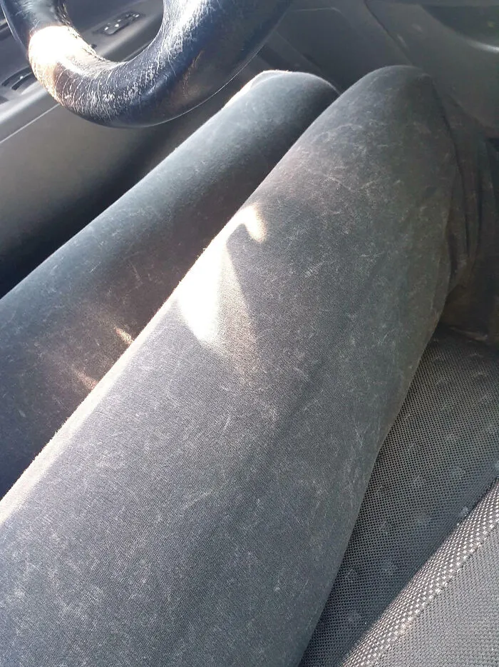 Estos leggings parecen llenos de pelo de gato