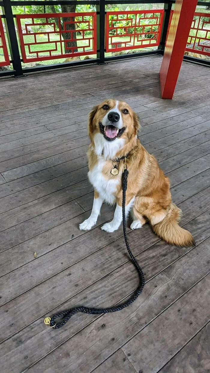 I Drove 4 Hours To Adopt This Girl From A Family Who Didn't Have Enough Time For Her