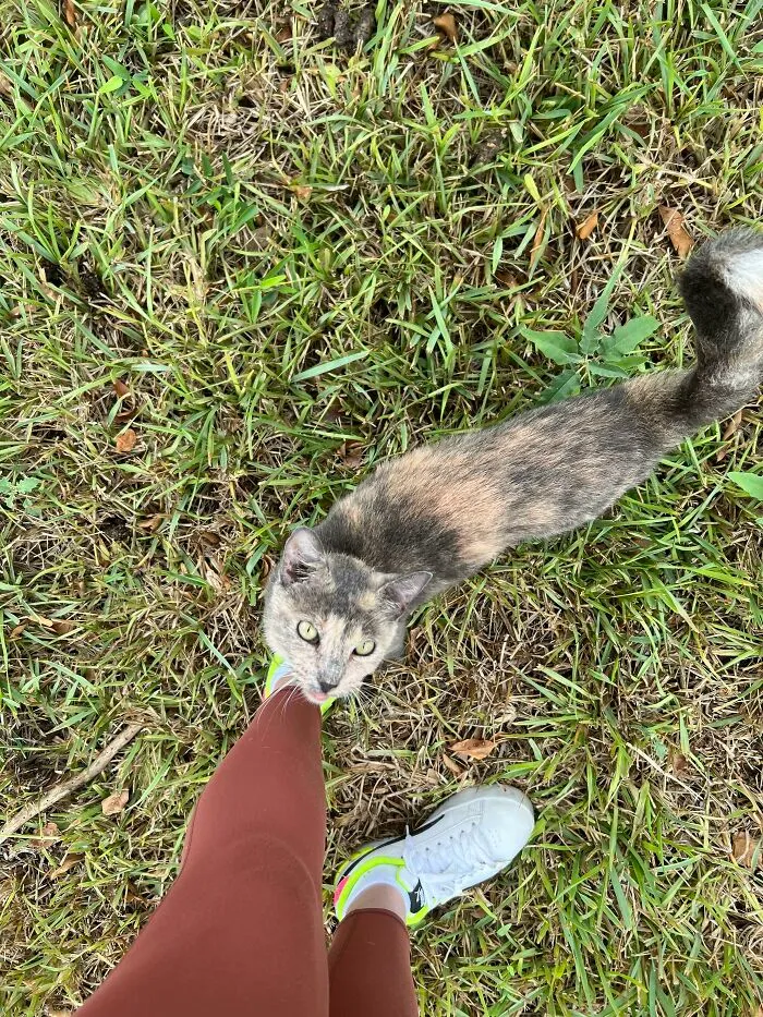 She Has No Idea We’re Officially Adopting Her Tomorrow