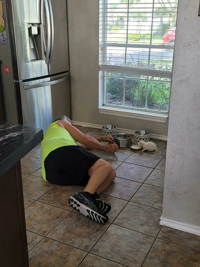 "No We're Going To Put Her Up For Adoption When She's Old Enough, We Already Have A Cat"