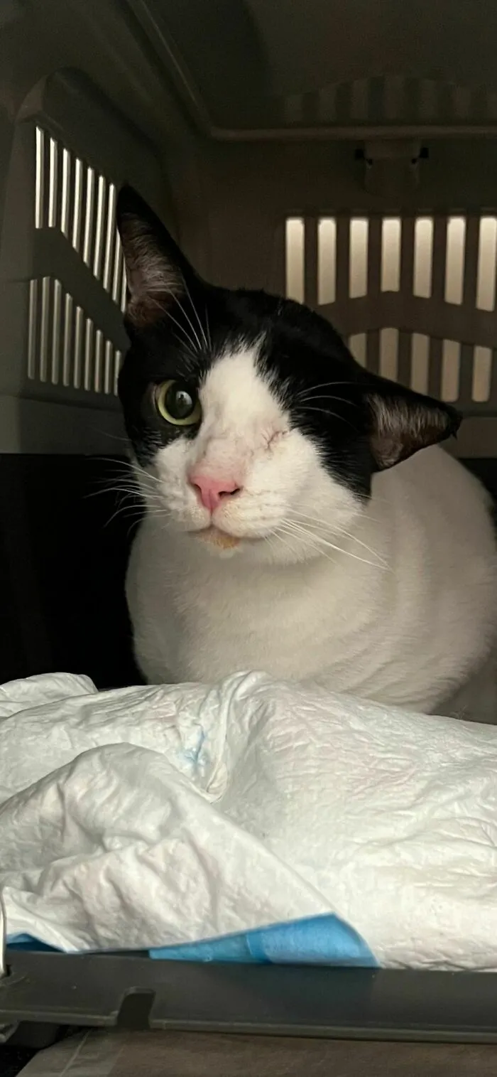 Just Adopted This Lad