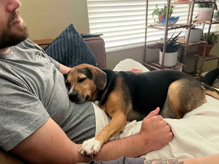 Our Little Rescue Bagel 🥯