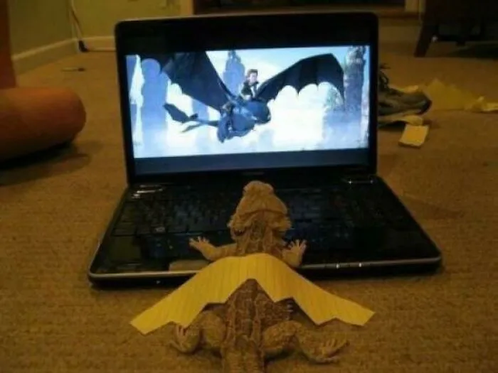 Lagarto aprendiendo a ser dragón