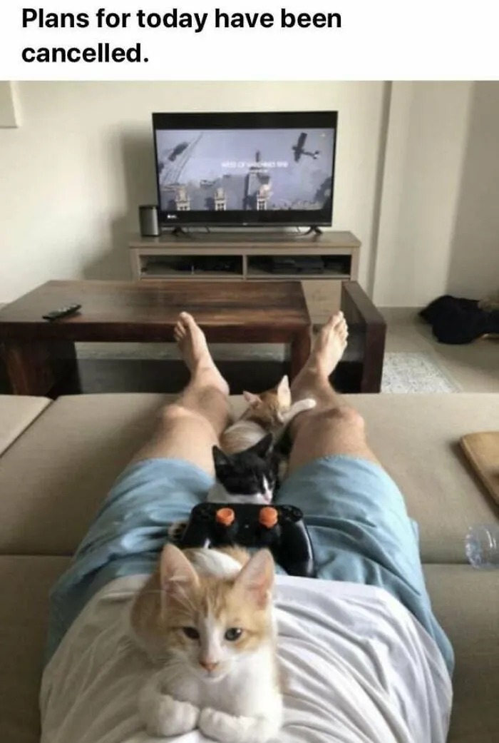 Blessed Cat Dad