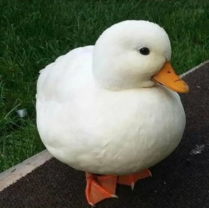 Tell Him Hes Cute