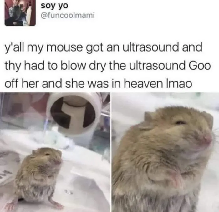 They Had To Blow Dry The Ultrasound Goo Off Her
