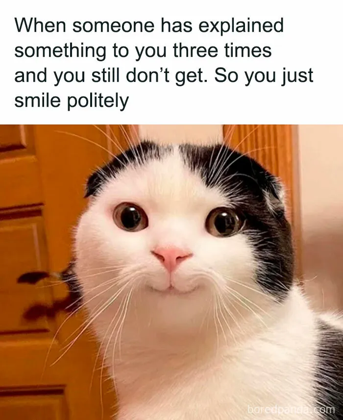 This IG Page Promises To “Heal Through Laughter”, Here Are 50 Memes That Do Exactly That