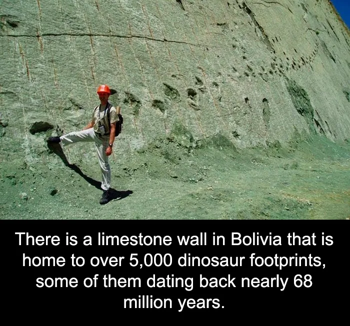 50 Bits Of Information From The ‘Unusual Facts’ FB Page That May Raise Eyebrows