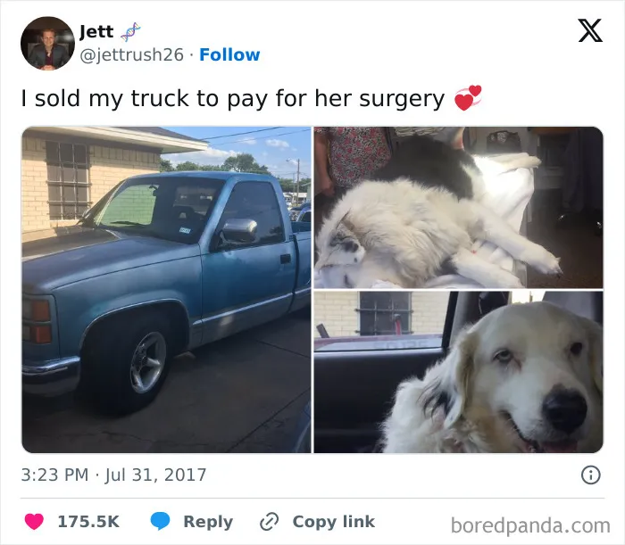These 45 Pics Were Supposed To Be Wholesome, But Actually Show How Messed Up Our Society Is (New Pics)