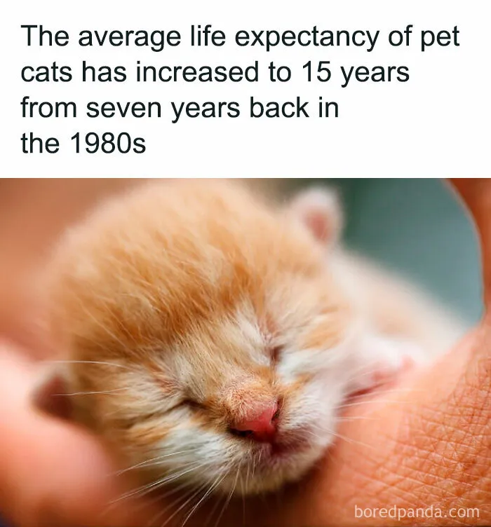 50 ‘Unbelievable Facts’ To Help You Ace Trivia Night (New Pics)