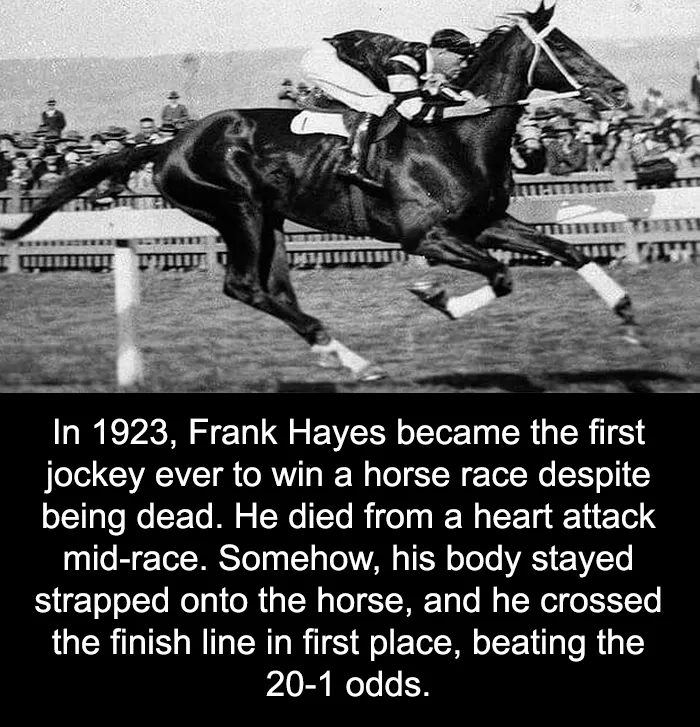 50 Bits Of Information From The ‘Unusual Facts’ FB Page That May Raise Eyebrows
