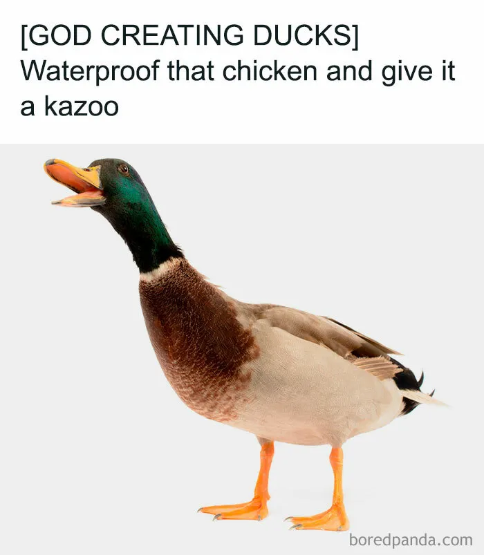 50 Innocent Jokes That Are Still Funny, As Shared On This Instagram Page