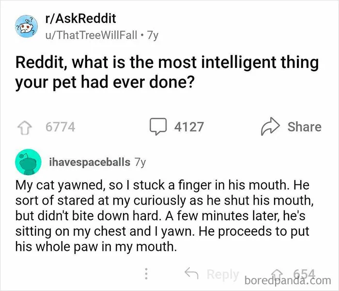 50 Innocent Jokes That Are Still Funny, As Shared On This Instagram Page