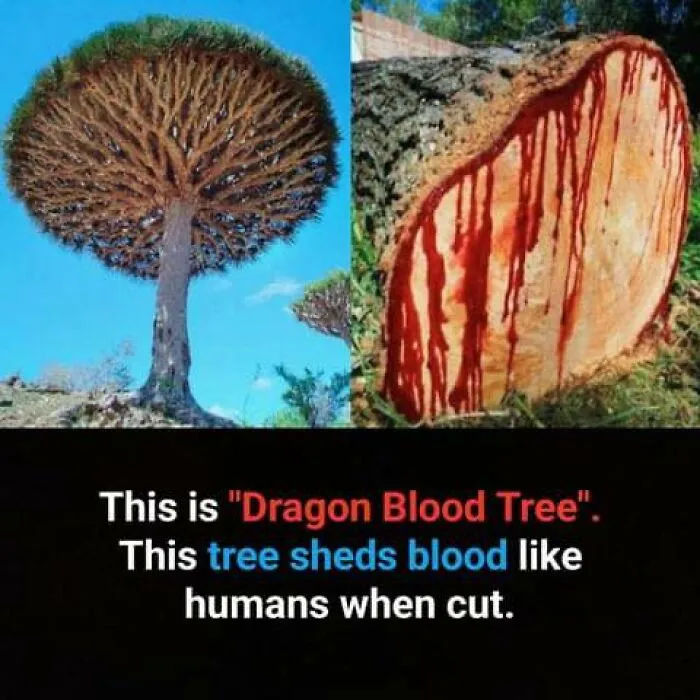 50 Bits Of Information From The ‘Unusual Facts’ FB Page That May Raise Eyebrows