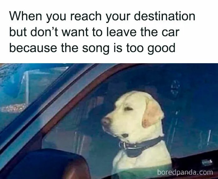 This IG Page Promises To “Heal Through Laughter”, Here Are 50 Memes That Do Exactly That