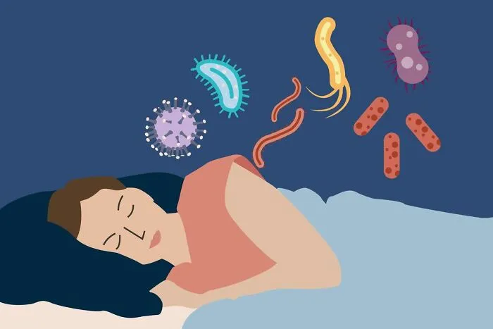 2. Sleep Is Important For Our Physical Health. Sleep Helps Our Bodies To Repair Cells And Tissues, And It Boosts Our Immune System