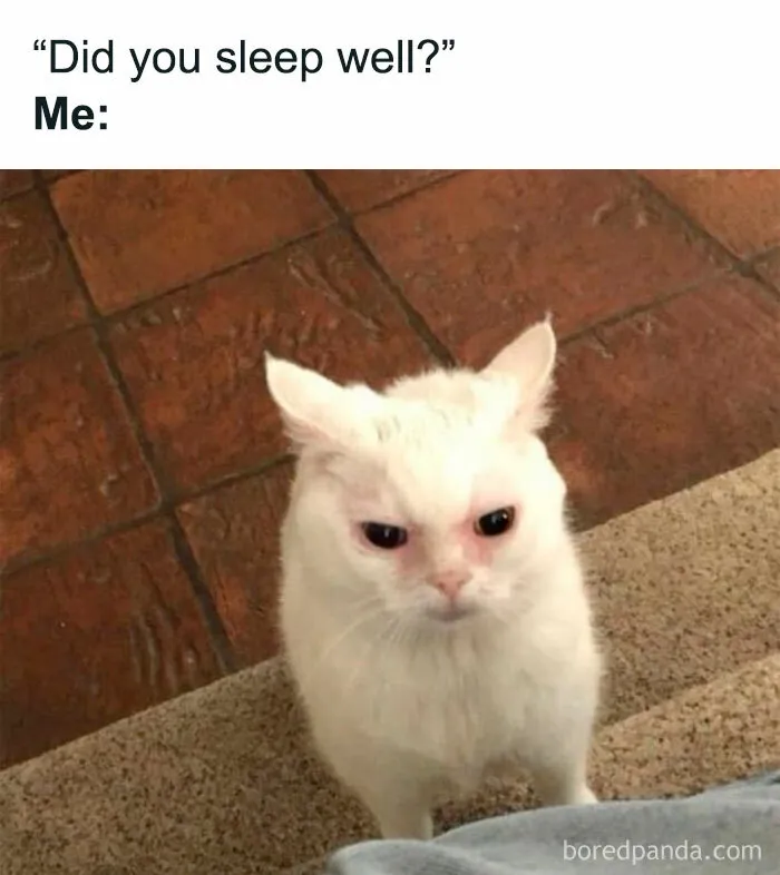 This IG Page Promises To “Heal Through Laughter”, Here Are 50 Memes That Do Exactly That