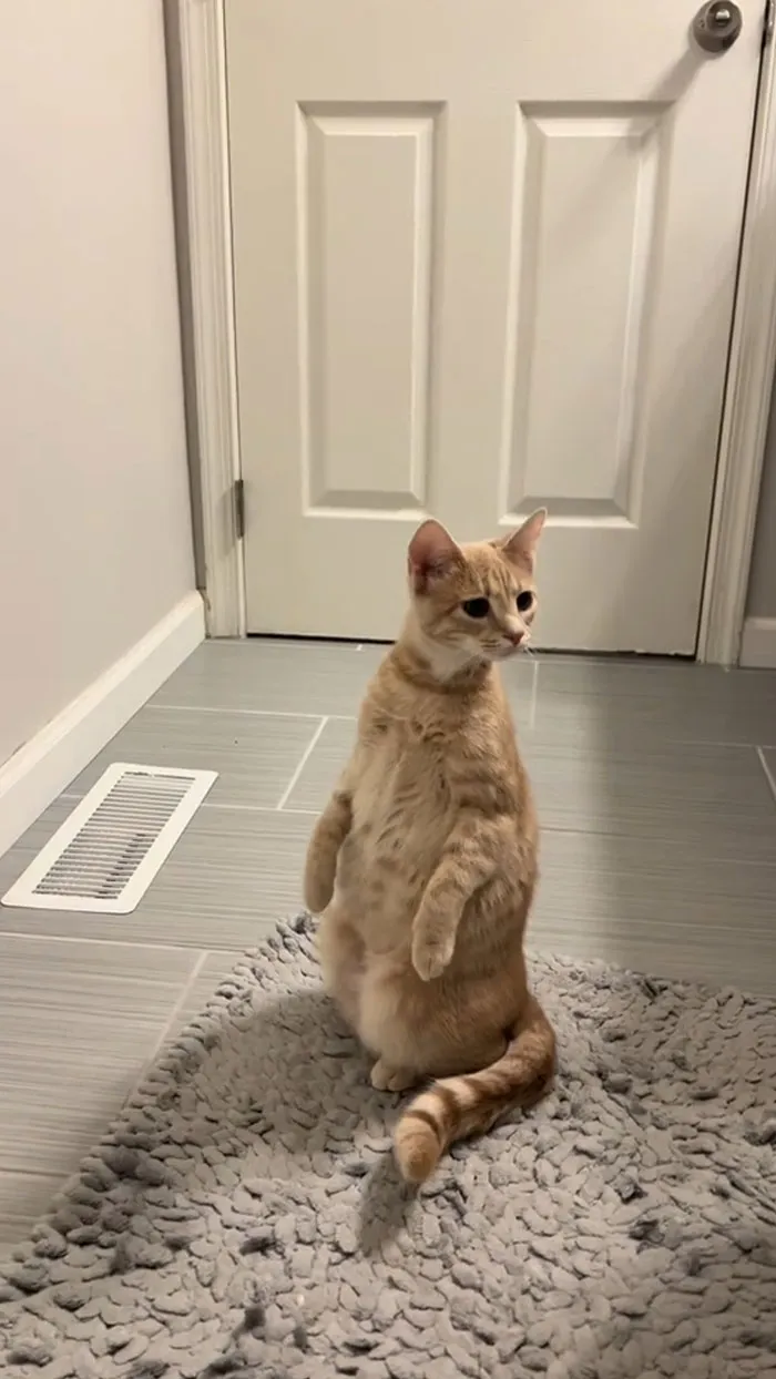 When Your Child Takes Their First Steps