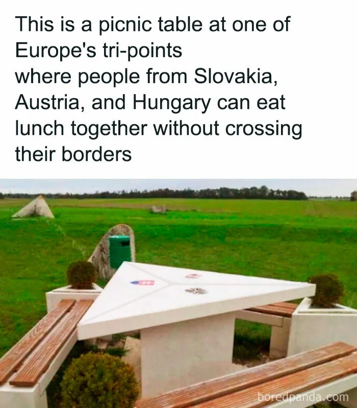 50 ‘Unbelievable Facts’ To Help You Ace Trivia Night (New Pics)