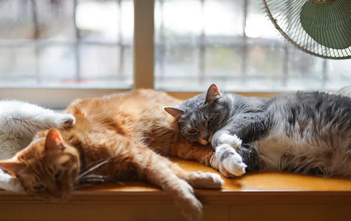 34 Tales That Illustrate What A Solid Relationship Should Look Like, As Shared By Women Online