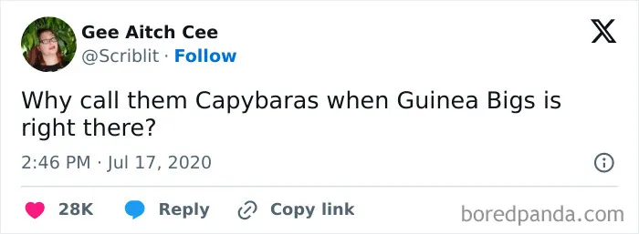 50 Innocent Jokes That Are Still Funny, As Shared On This Instagram Page